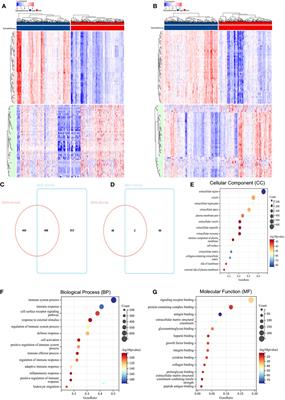 A prognostic mathematical model based on tumor microenvironment-related genes expression for breast cancer patients